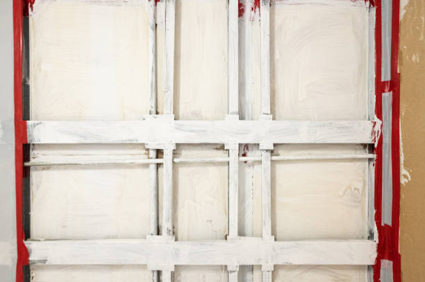 Best Environmental Consulting for Mold Prevention  in Wray, CO